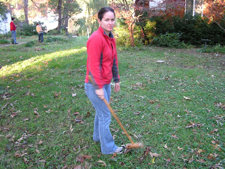 croquet-10-2006-12