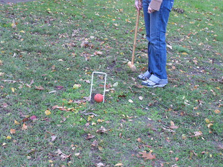 croquet-10-2006-22