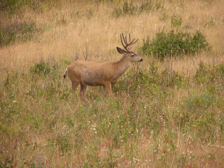 Alaska-7-06-149