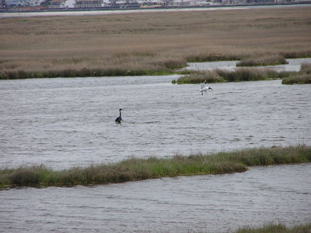 Cape May (5-06) 33